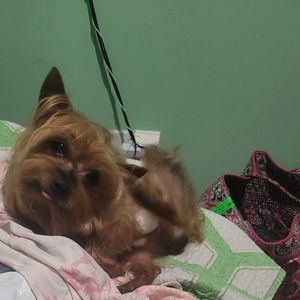 Meet your Posher, Jacqueline